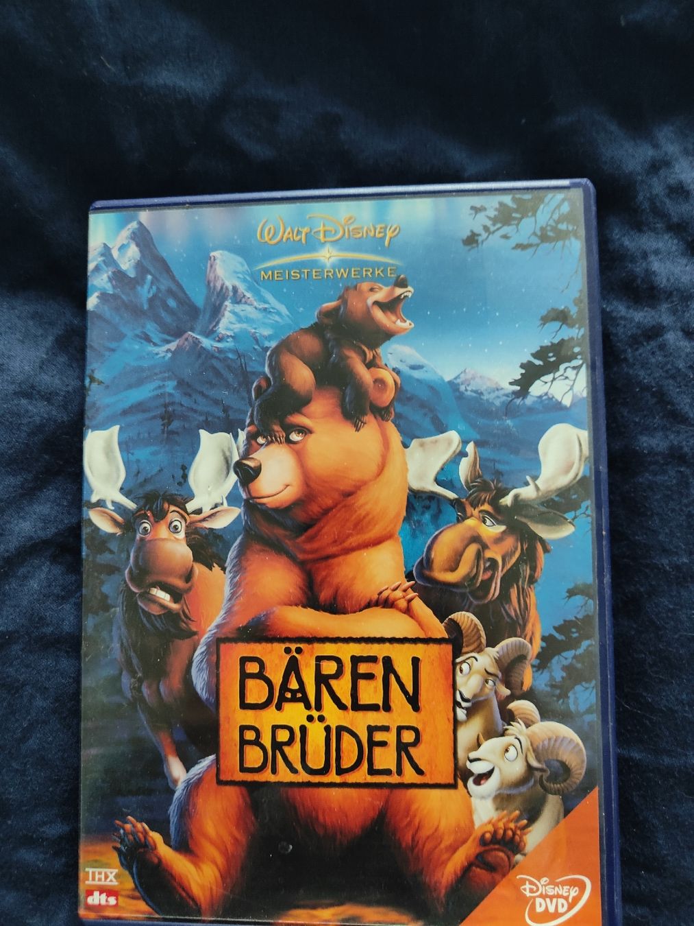 Tutti i DVDs: bärenbrüder, spielfilm, dvd – Nuovo (secondo la descrizione) da Muttenz venduto da NMtn. 1