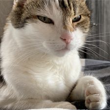 Profile image of maggeler