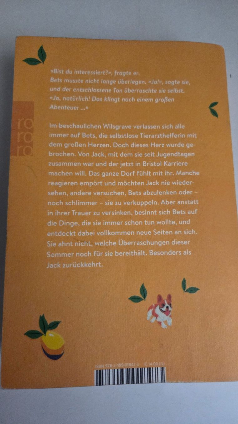 Livres: Julie Caplin Ein Wiedersehen im Sommer – D'occasion à Weggis par Leeclipse 1