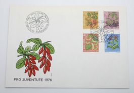 Pro Juventute gemäss Bild 1976