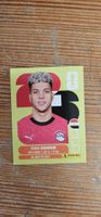 Fifa World Cup Panini EGY 15