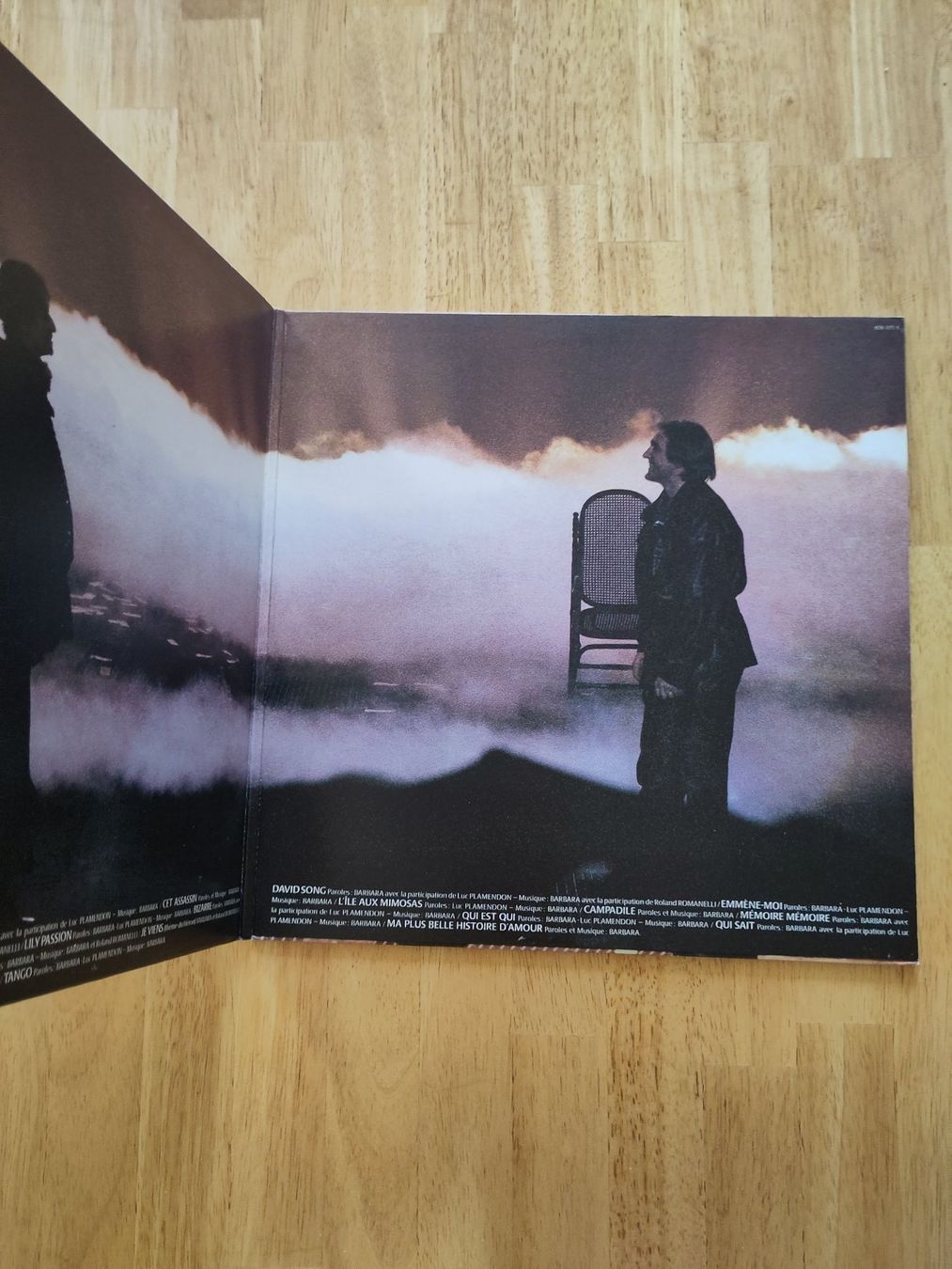 Dischi in vinile: Barbara & Depardieu | "Lily Passion" | 2 LP – Usato da Lausanne venduto da Otvald 2