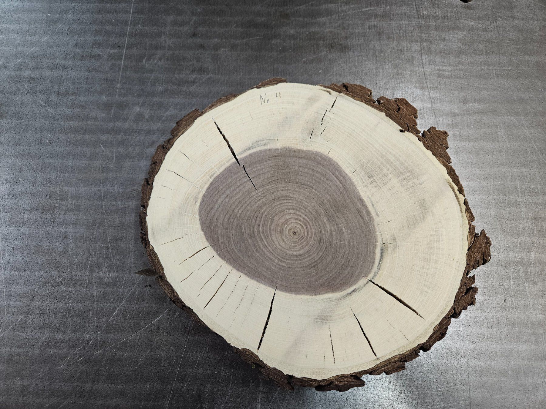 Holzartikel: Nussbaum Holz Baumscheibe – Neu (gemäss Beschreibung) aus Schangnau von egli6.2