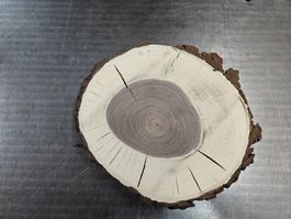 Nussbaum Holz Baumscheibe