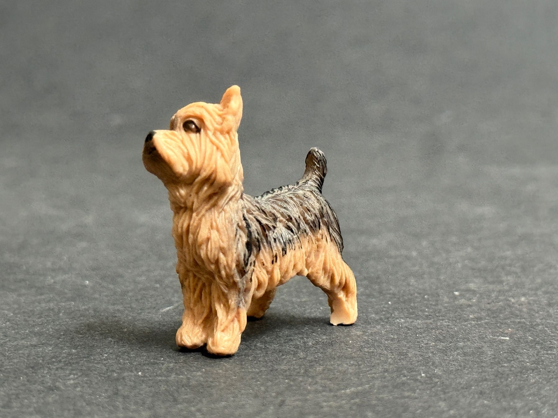 Schleich Statuette: Schleich 13876 Yorkshire Terrier Hund – Nuovo (secondo la descrizione) da Ennetbaden venduto da mapa05 3