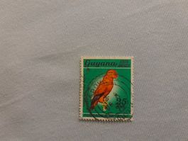 Guyana Vögel