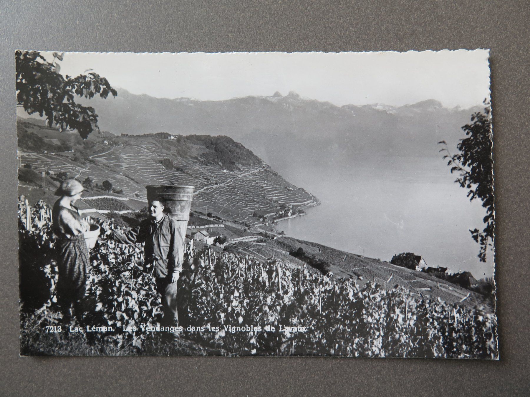 Cartes postales: LAC LÉMAN - REBBERG - WINZER - WEIN – D'occasion à Wittenbach par lipasal