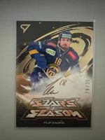 Sportzoo HCD Filip Zadina Stars of the Season 28/30