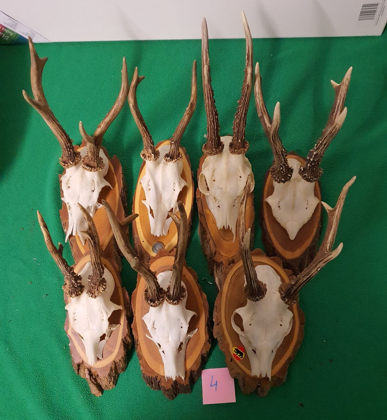 Altre raccolte & rarità: JAGD TROPHÄE Nr 4 7 STÜCK SEHR SCHÖN – Usato da Schönenwerd venduto da don1952