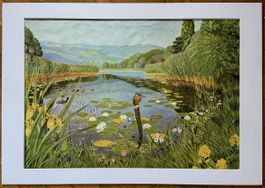 Schulbild: Vegetation an einem Seeufer, Paul A. Robert