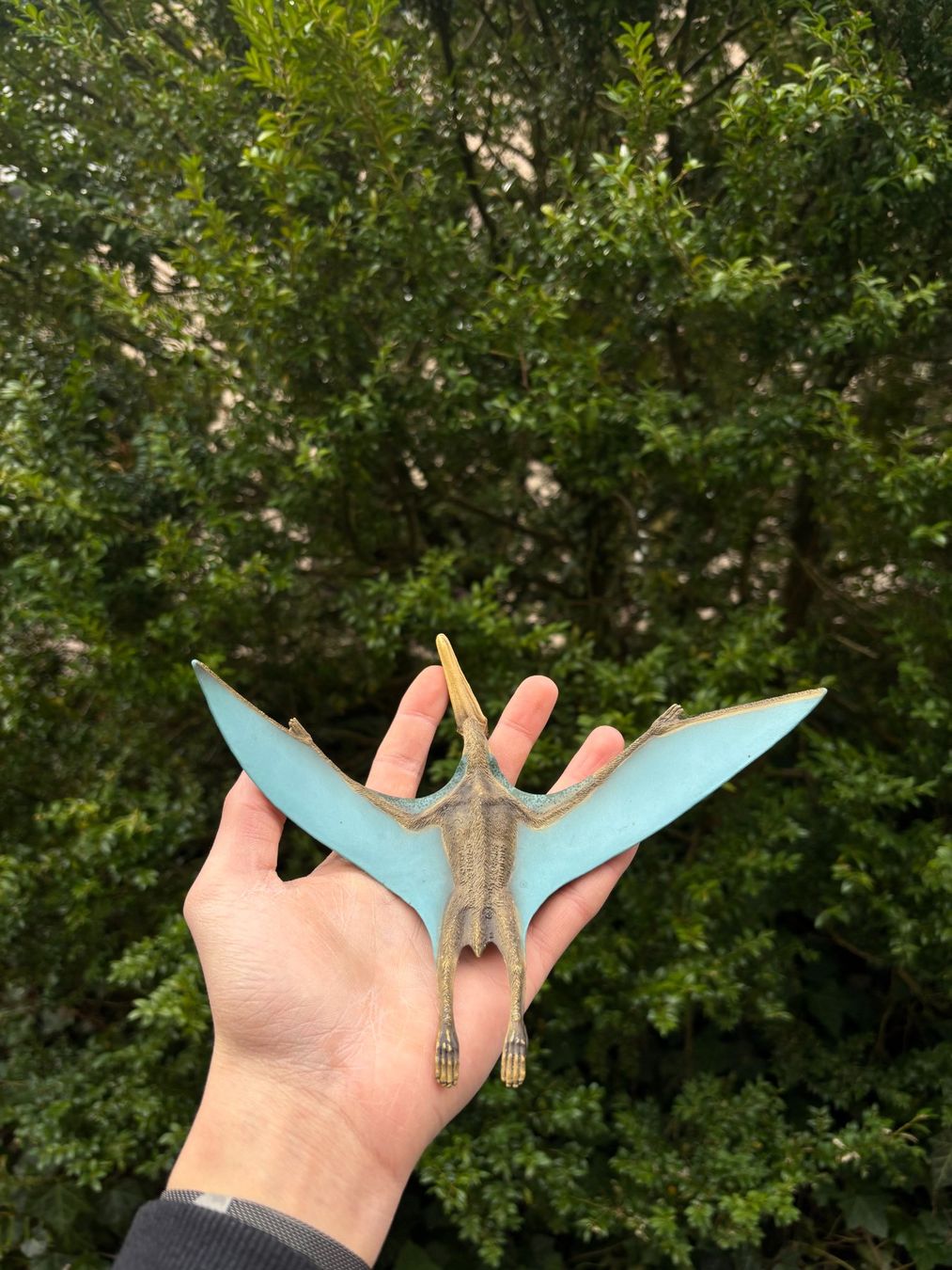 Schleich Giocattoli: Pteranodon Dinosaurier Figur. – Usato da Stäfa venduto da MazzaH 2