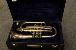 Cornet Besson Westminster
