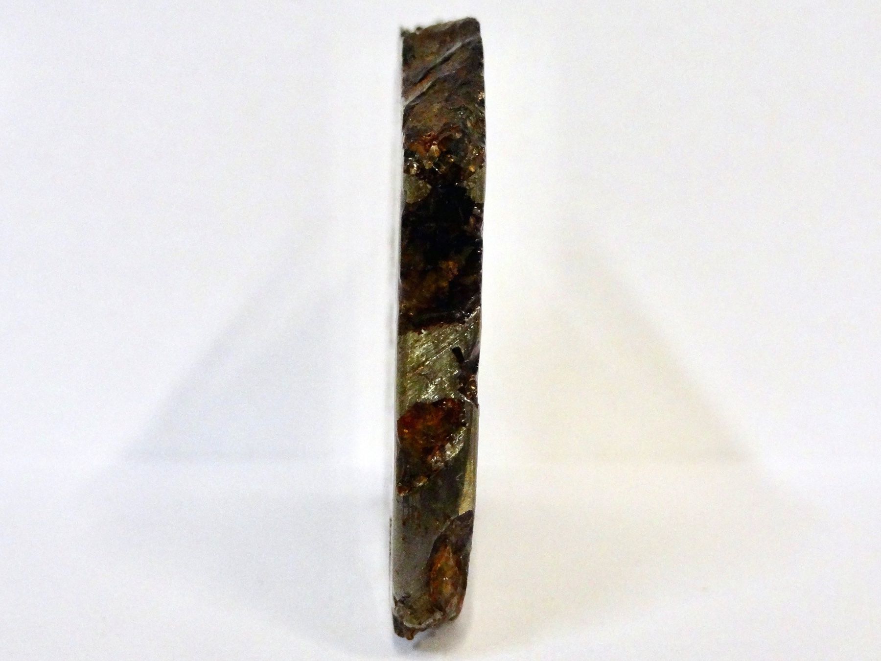 Minerali & Pietre curative: Meteorit PALLASIT Eisen-Stein-Meteorit BRAHIN BELARUS – Nuovo (secondo la descrizione) da Kerzers venduto da djstarsky73 2
