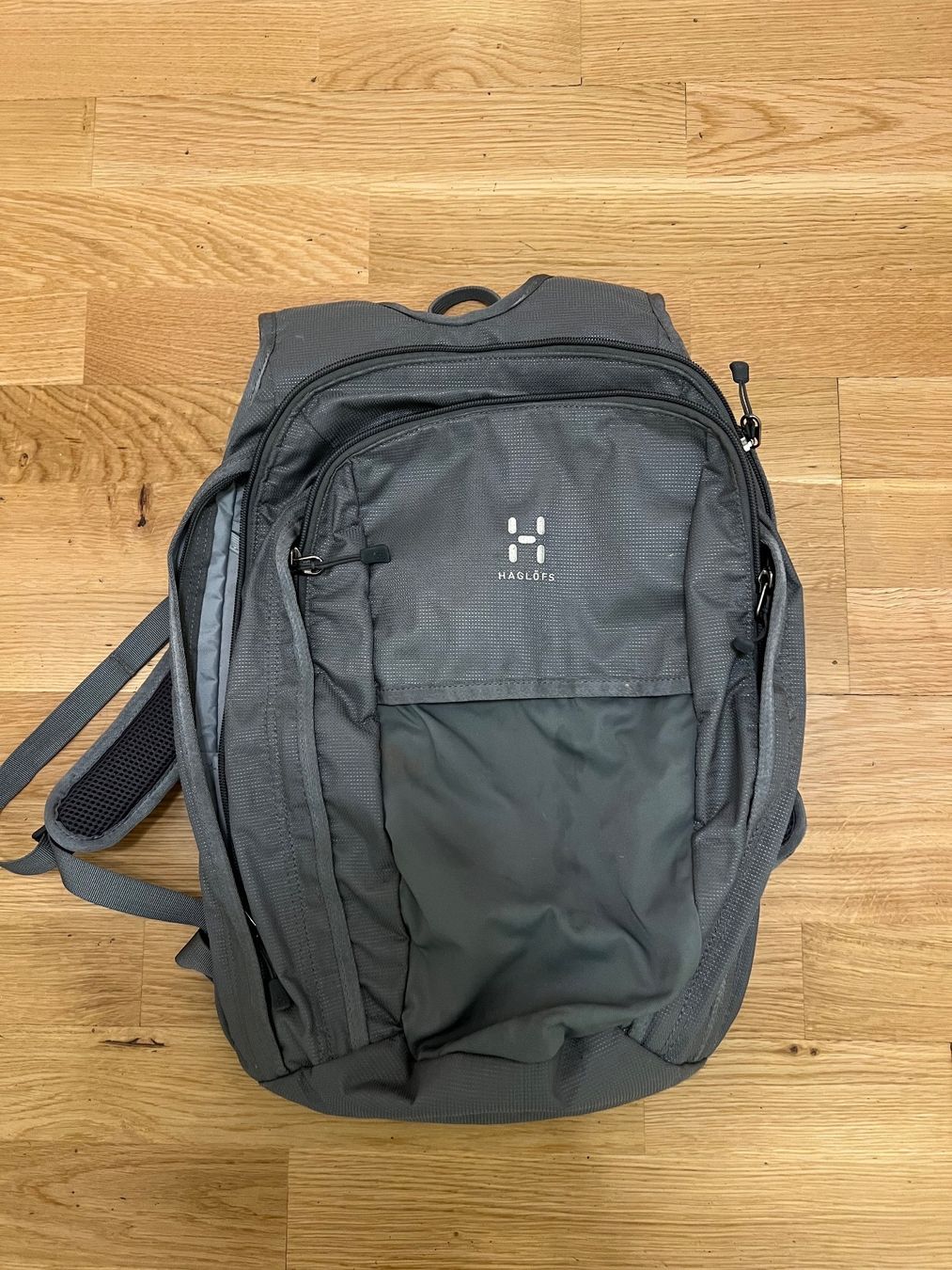 Haglöfs Zaini: Haglöfs Rucksack Backpack – Usato da Ebmatingen venduto da dartim
