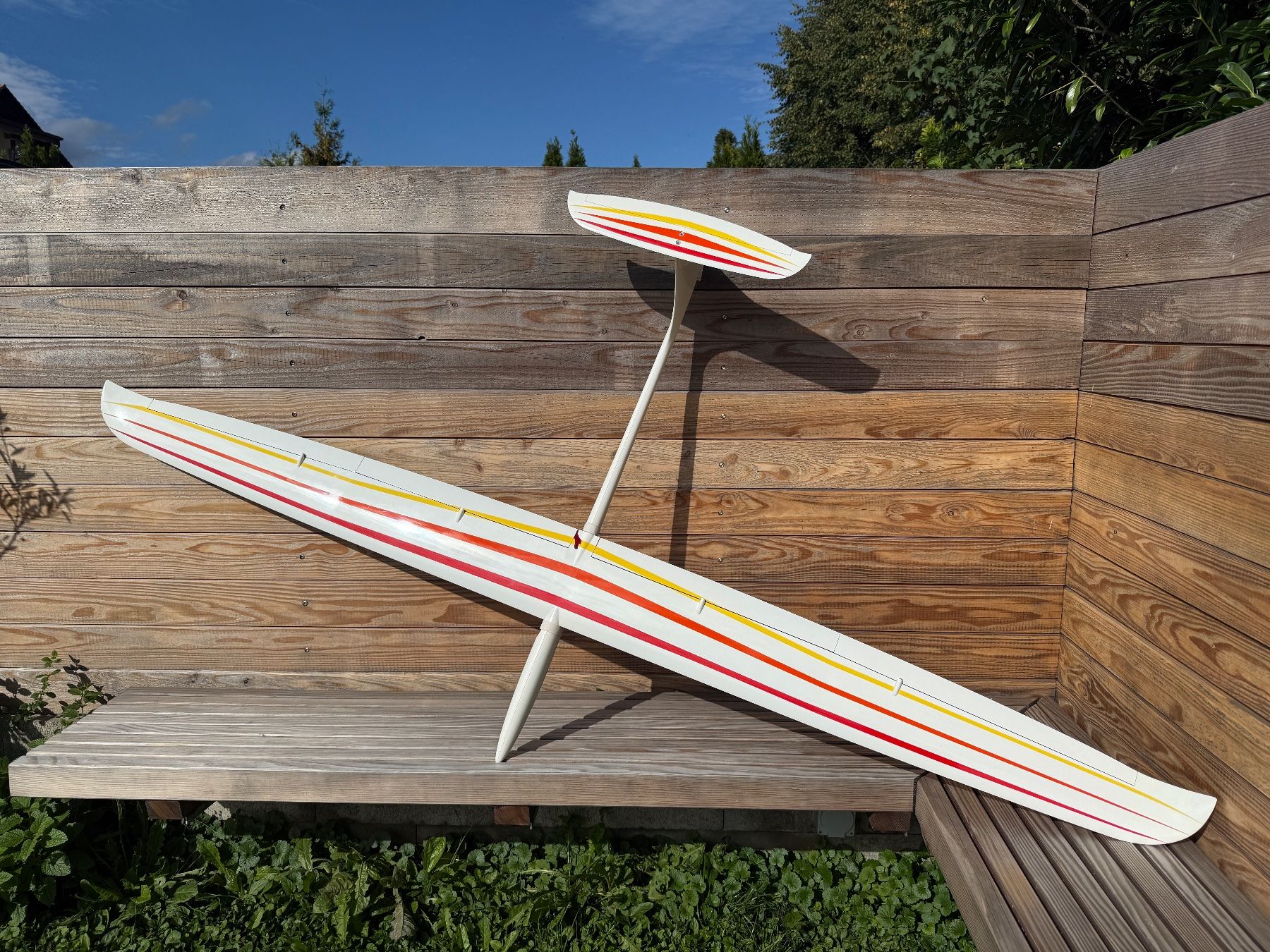 Modellismo RC: SRTL / DS / Hangflug – Usato da Dinhard venduto da Wegelagerer