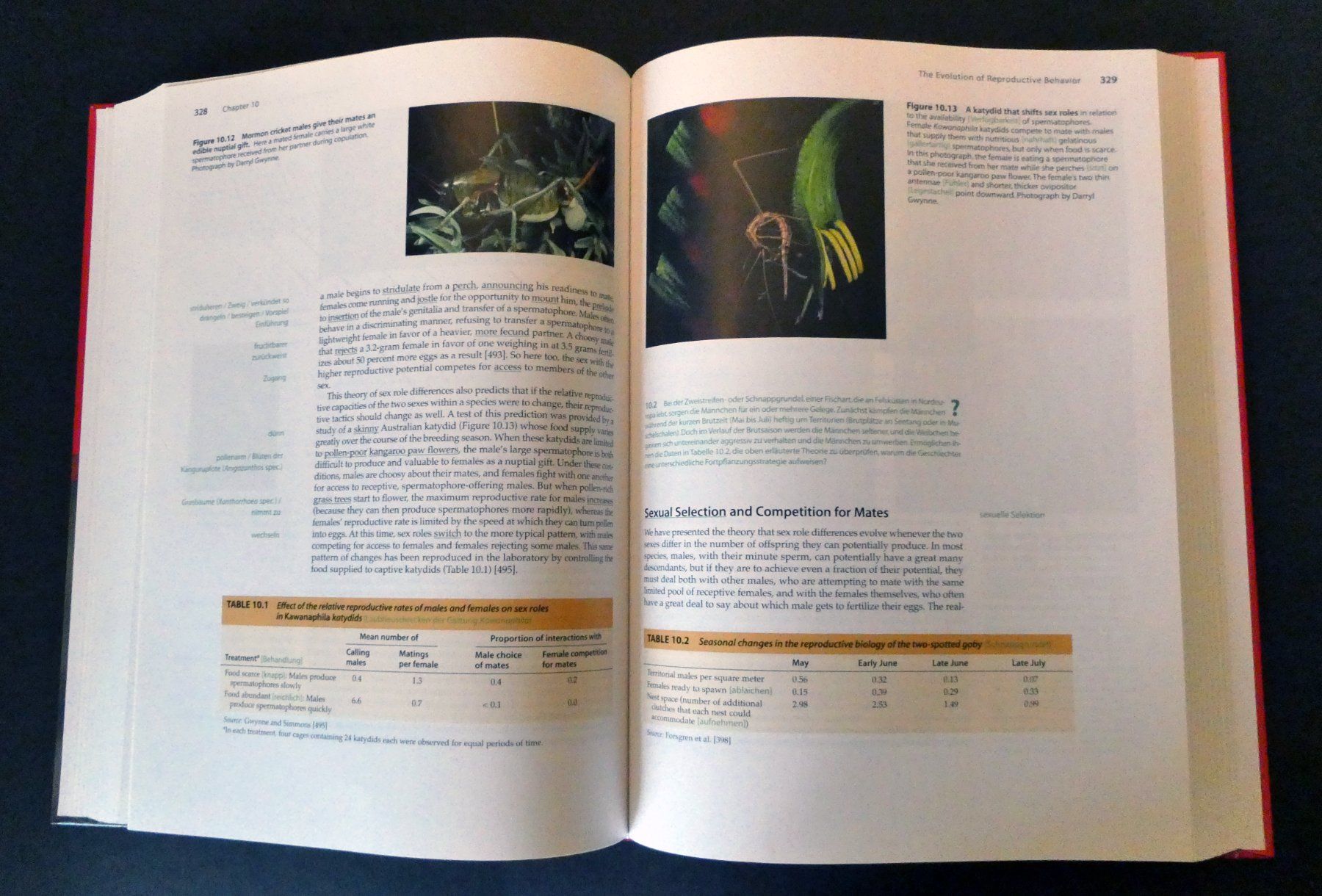 Libri: Animal Behavior. Das Original mit Übersetzungshilfen – Nuovo (secondo la descrizione) da Zollikofen venduto da Hci 4