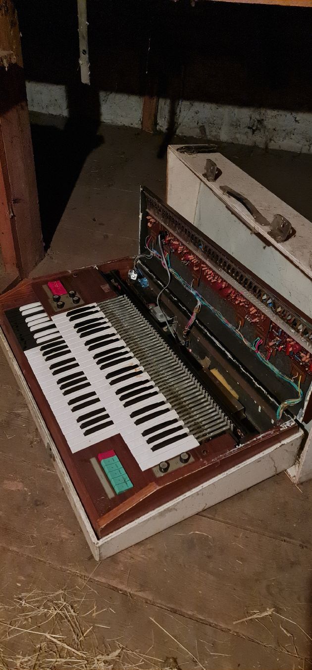 Strumenti musicali: Alte GEM Orgel aus den 60' – Difettoso da Campocologno venduto da Arte2108 1