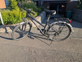 Damenvelo Tigra Grösse M
