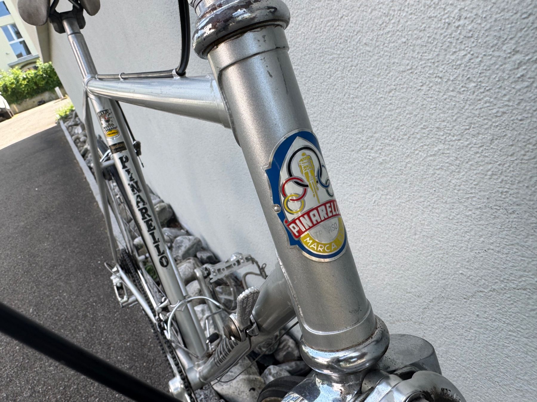Biciclette: Pinarello Treviso Rennvelo – Usato da Zürich venduto da flo2flo 3