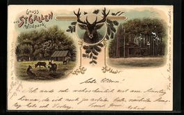 Litho St. Gallen, verschiedene Ansichten