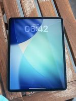 Apple iPad Air 13 M2  256 GB  Wi-Fi + Cellular  2024