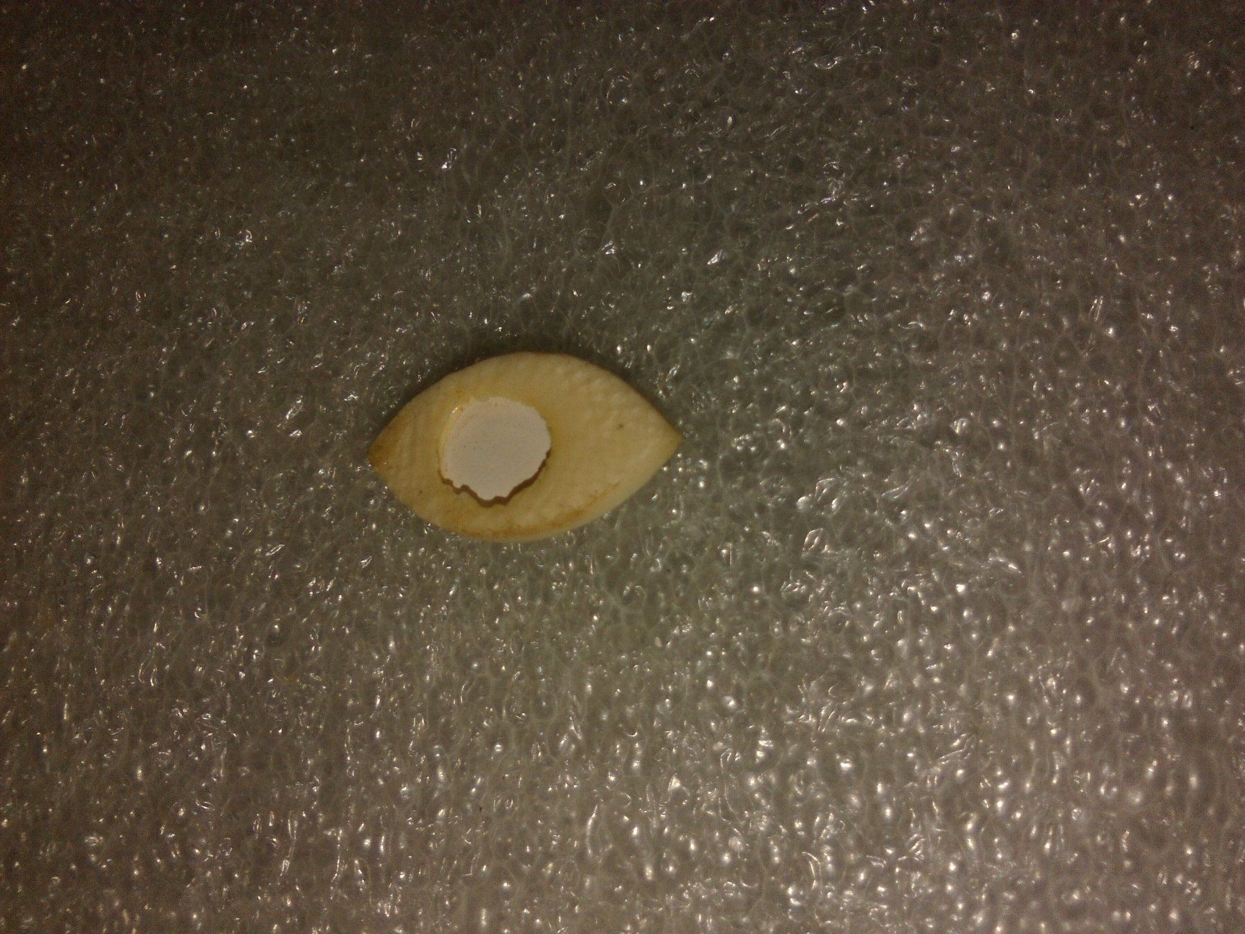 Edelsteine: echt perlmut,,,weiss,,,glanzig – Neu (gemäss Beschreibung) aus Basel von bijoutrie_4 3