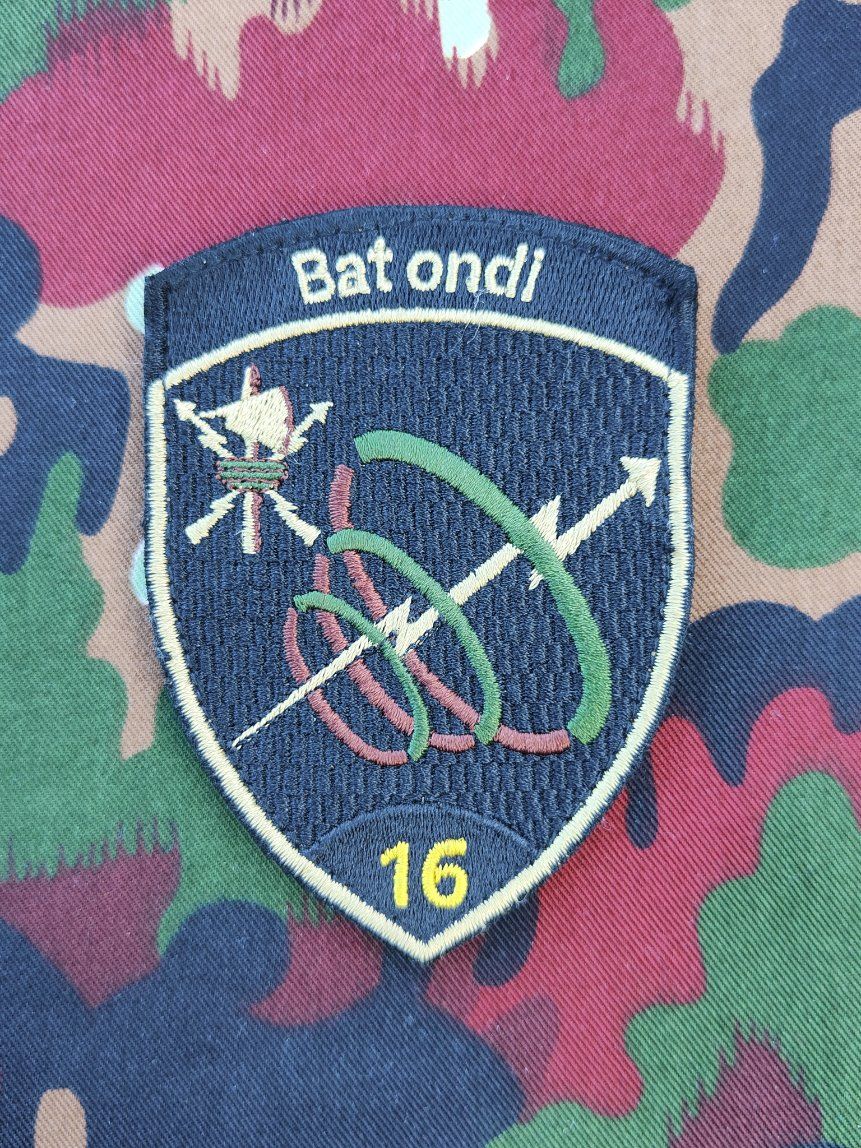 Schweizer Armee Plaketten & Abzeichen: Verbandsabzeichen Ristl Bat 16 Stabskp – Gebraucht aus Bauma von SwissMilitaria