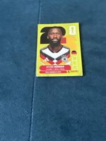 Panini Ger6