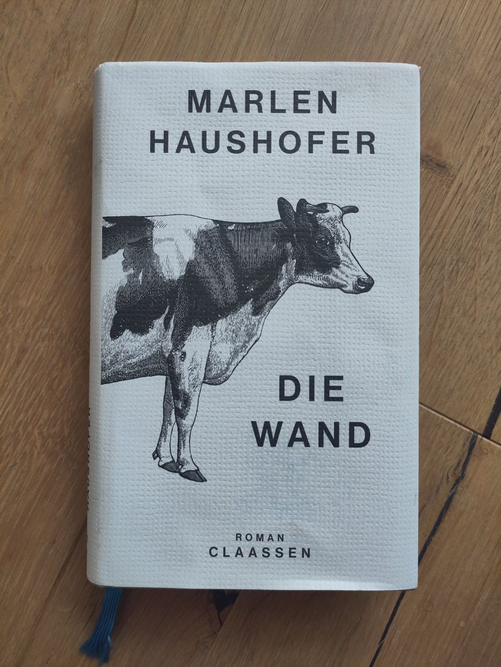 Libri: Die Wand - Marlen Haushofer – Usato da Nidau venduto da dineee