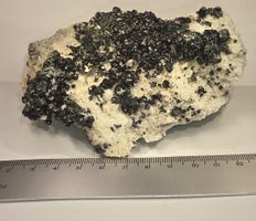 RHIPIDOLITH - Klinochlor (Pennin) Bortelhorn. Top Glanz