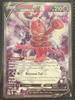⚡️ Pokémon - Enamorus V 178/196 🇬🇧