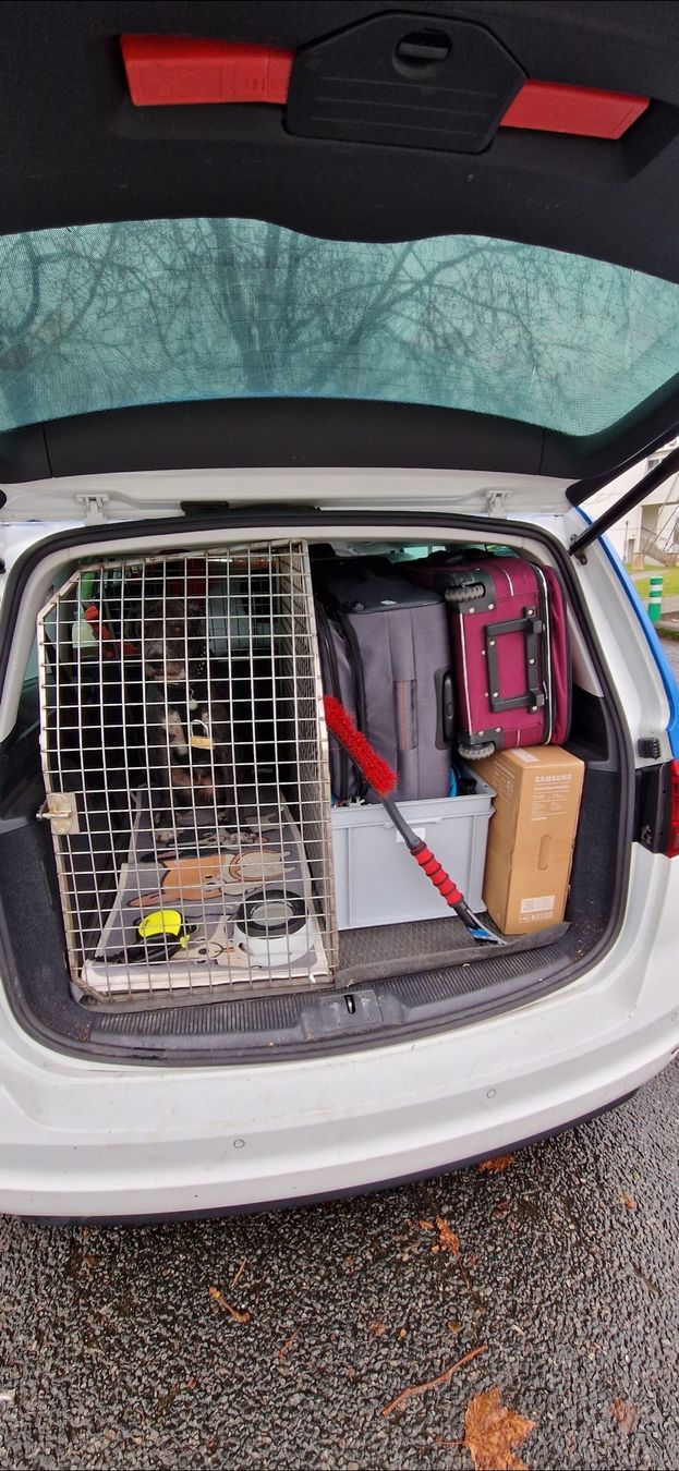 Gabbie, trasporto & Sicurezza: Hundegitter  – Usato da Einsiedeln venduto da Wenco66