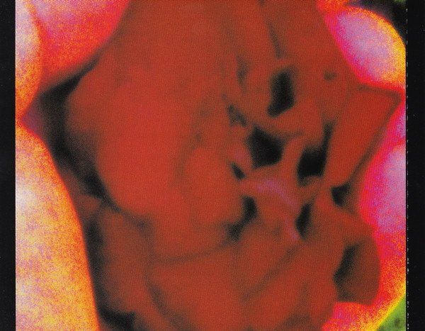 CD: The Cure – Bloodflowers – Usato da Brittnau venduto da Zibu 4
