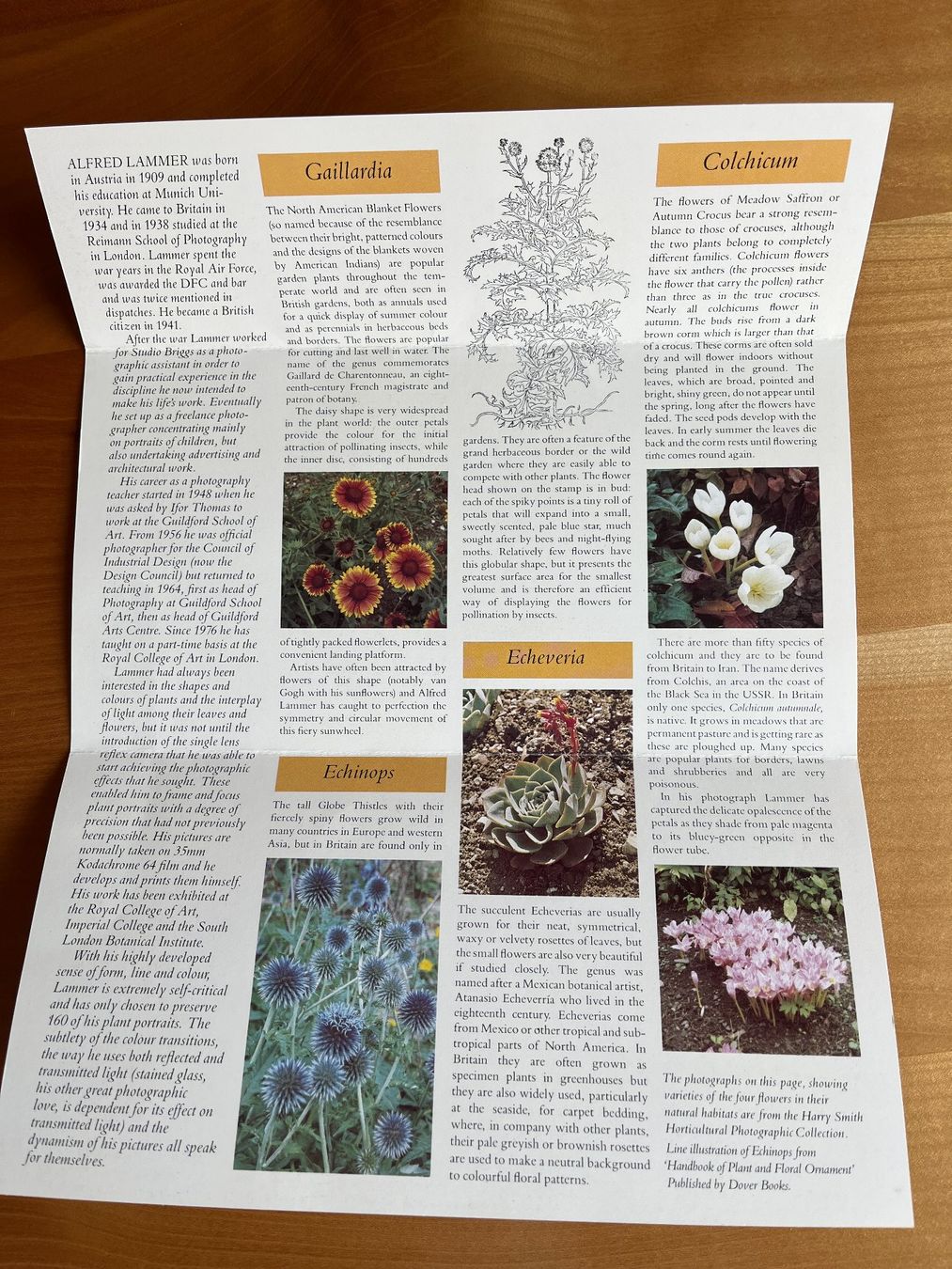 Tutti i francobolli: Briefmarken Royal Mail Mint Stamps, Flowers – Usato da Wiesendangen venduto da Frohberg 4