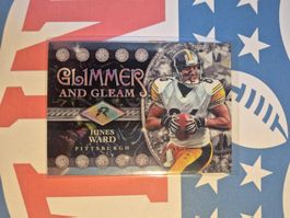 NFL Hines Ward Pittsburgh Steelers