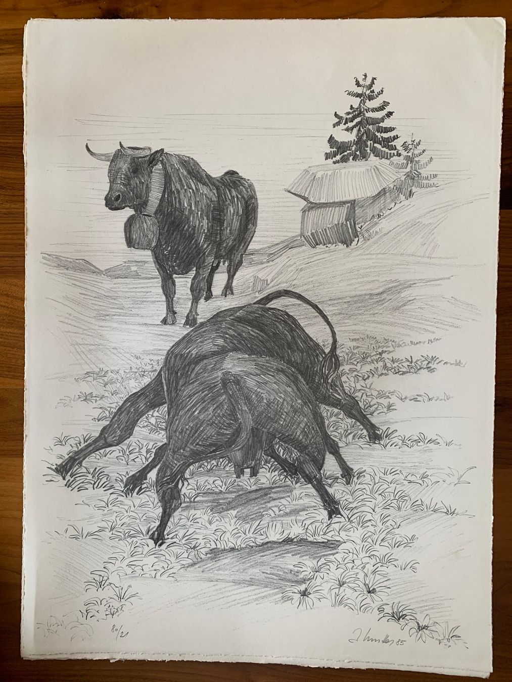 Grafica & Litografie: Lithographie Anton Mutter, Kuhkampf auf der Alpe – Nuovo (secondo la descrizione) da Sargans venduto da aebi081