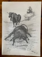 Lithographie Anton Mutter, Kuhkampf auf der Alpe