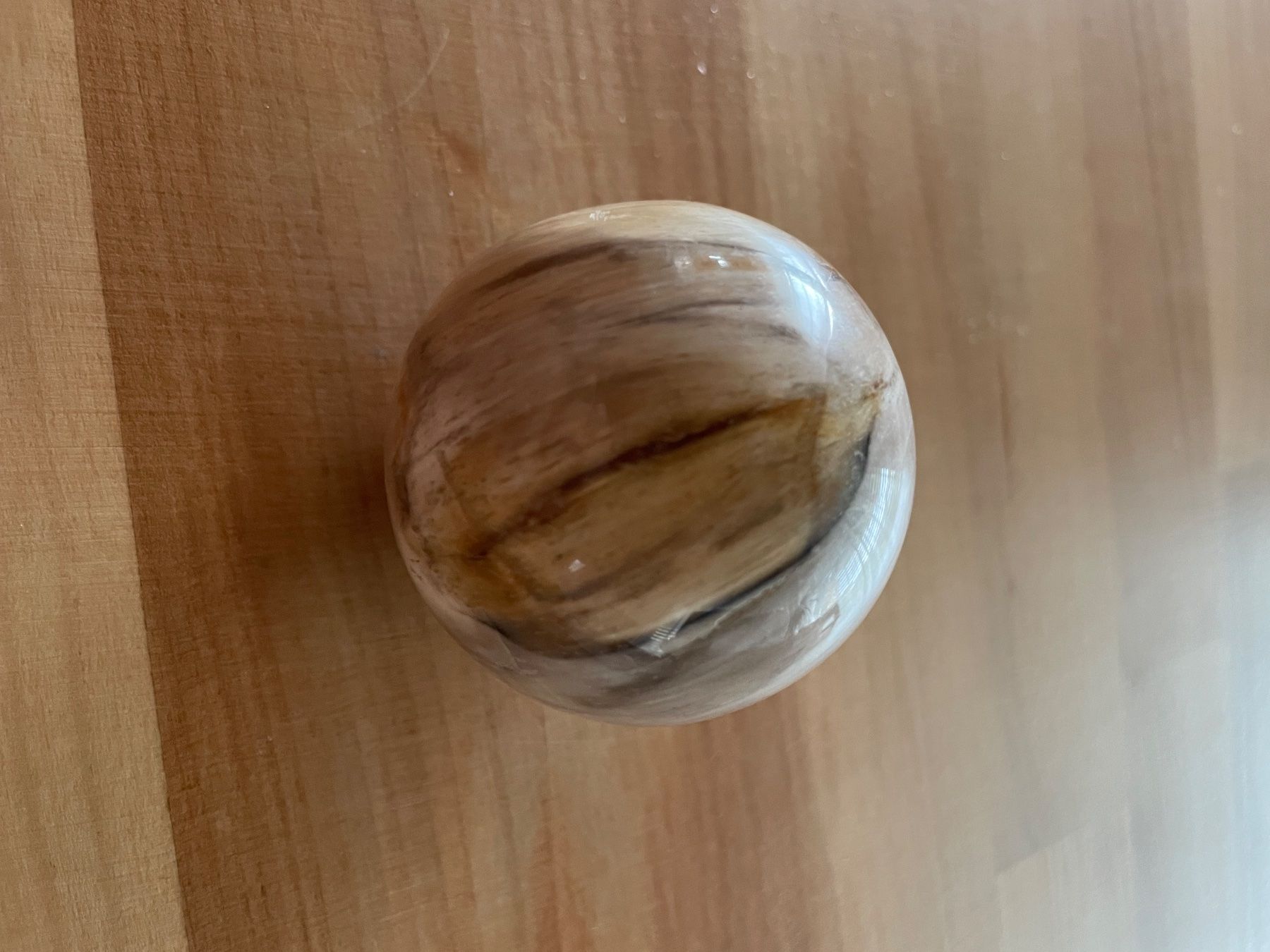 Fossiles: Versteinertes Holz Kugel – D'occasion à Rümlang par Sambas19 1