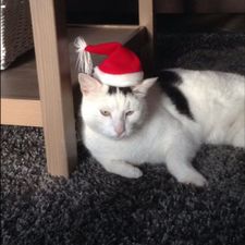 Profile image of ada_w658