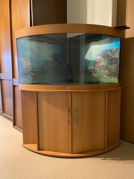 48+ Großes Aquarium Gebraucht Kaufen, Fische &amp; alles für dein