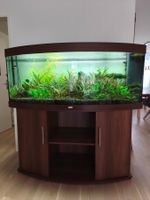Aquarium Juwel Vision 450 inkl. Unterschrank