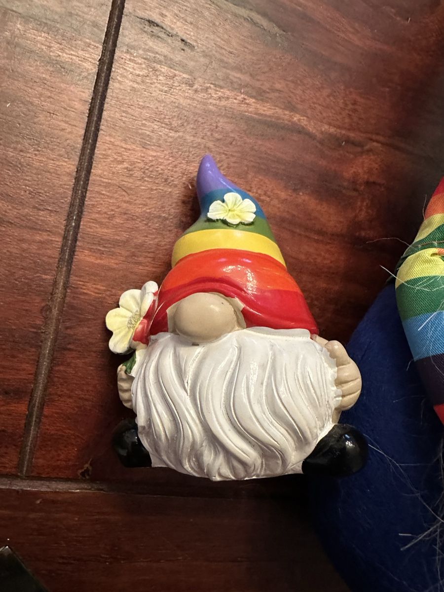 Tutte le decorazioni: Regenbogen Zwerg Pride 2st – Usato da Bern venduto da womiman 1