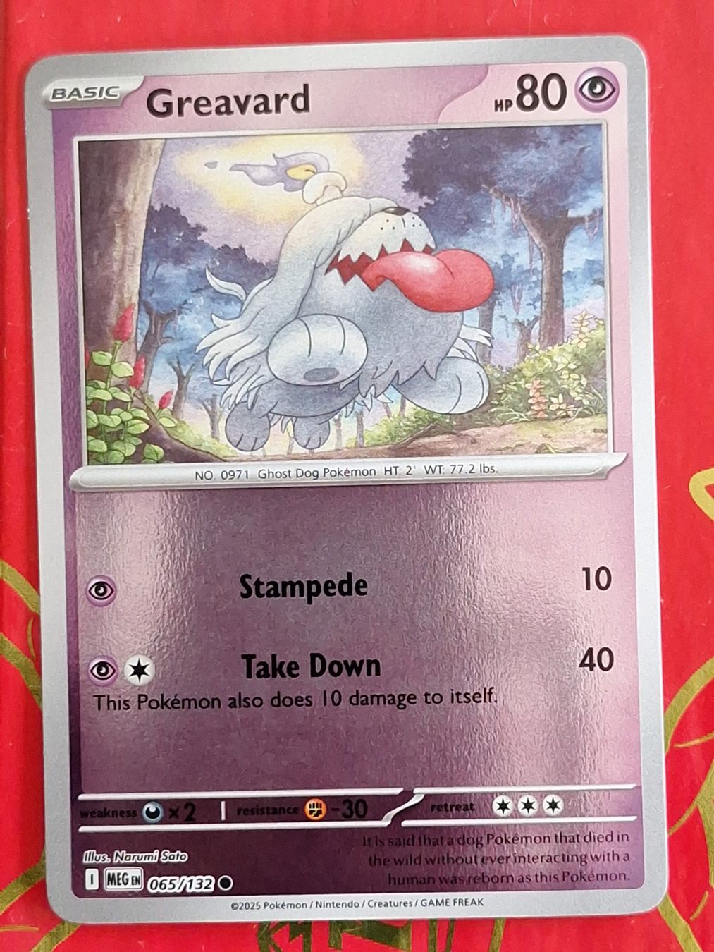 Pokémon Carte collezionabili: Greavard - Reverse Holo Pokemon Mega Evolution – Usato da Altstätten SG venduto da GGsGameshop