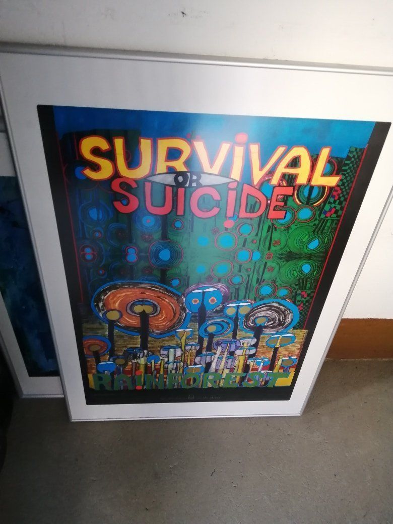 Poster & Bilder: Hundertwasser "Survival or Suicide Rainforest" 1990 gerahmt – Gebraucht aus Thun von Pemoya 2