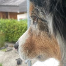 Profile image of Lee5566