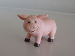 Schwein Zwinker, 05/11, Säuli, Jollyz, Simba, Kunststoff