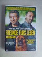 DVD Freunde fürs Leben - Alles was zählt, ist JETZT