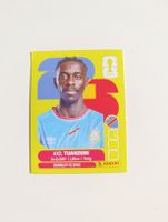 Panini World Cup 2026 COD 4