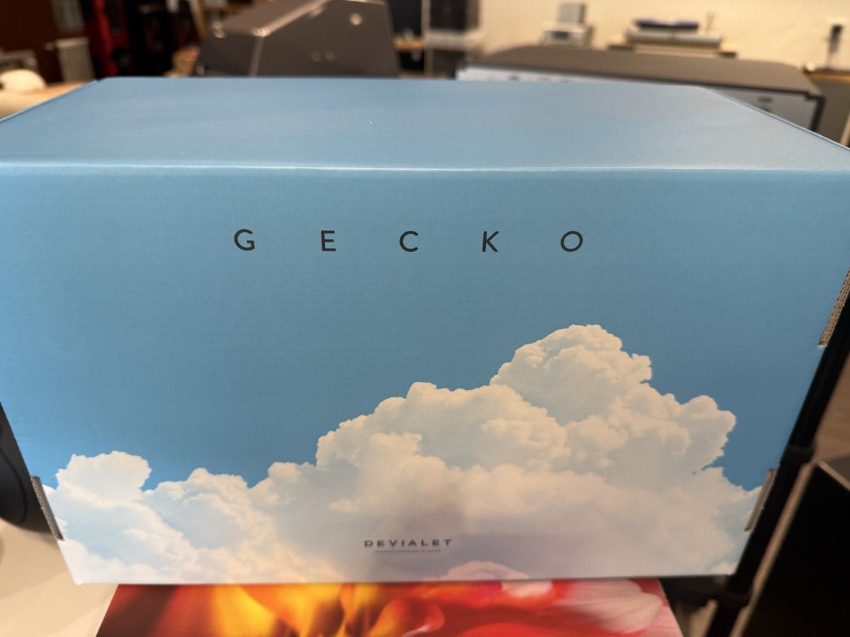 Autres décorations & accessoires: Devialet Gecko für Phantom 1 neu – Neuf avec emballage d'origine à dietlikon par avspalinger