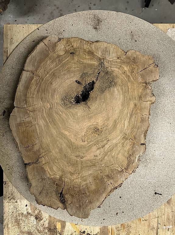Articles en bois: Olivenholz Baumscheibe - 09 – D'occasion à Buus par macipioji 1